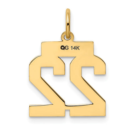14k Yellow Gold Small Polished Number 22 Charm Pendant