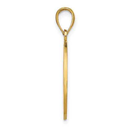 14k Yellow Gold NAPLES Dolphins Pendant