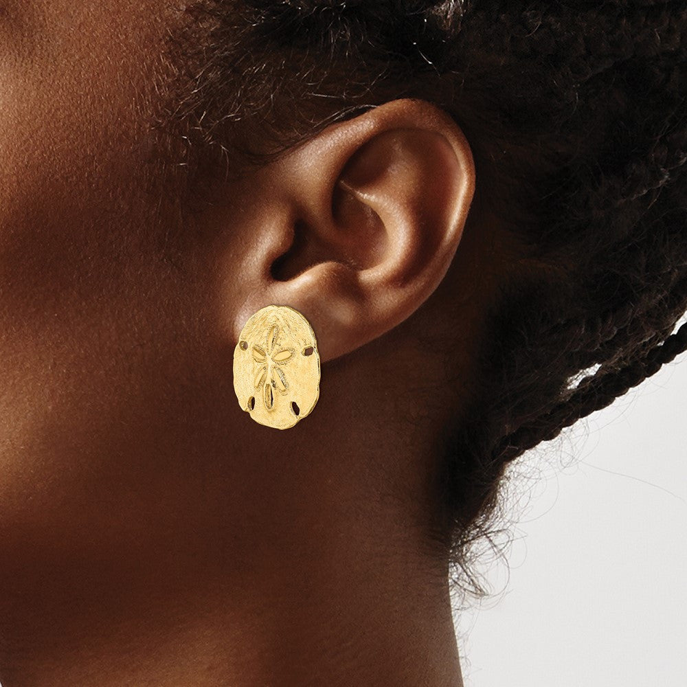 14k Yellow Gold Polished Sand Dollar Stud Earrings