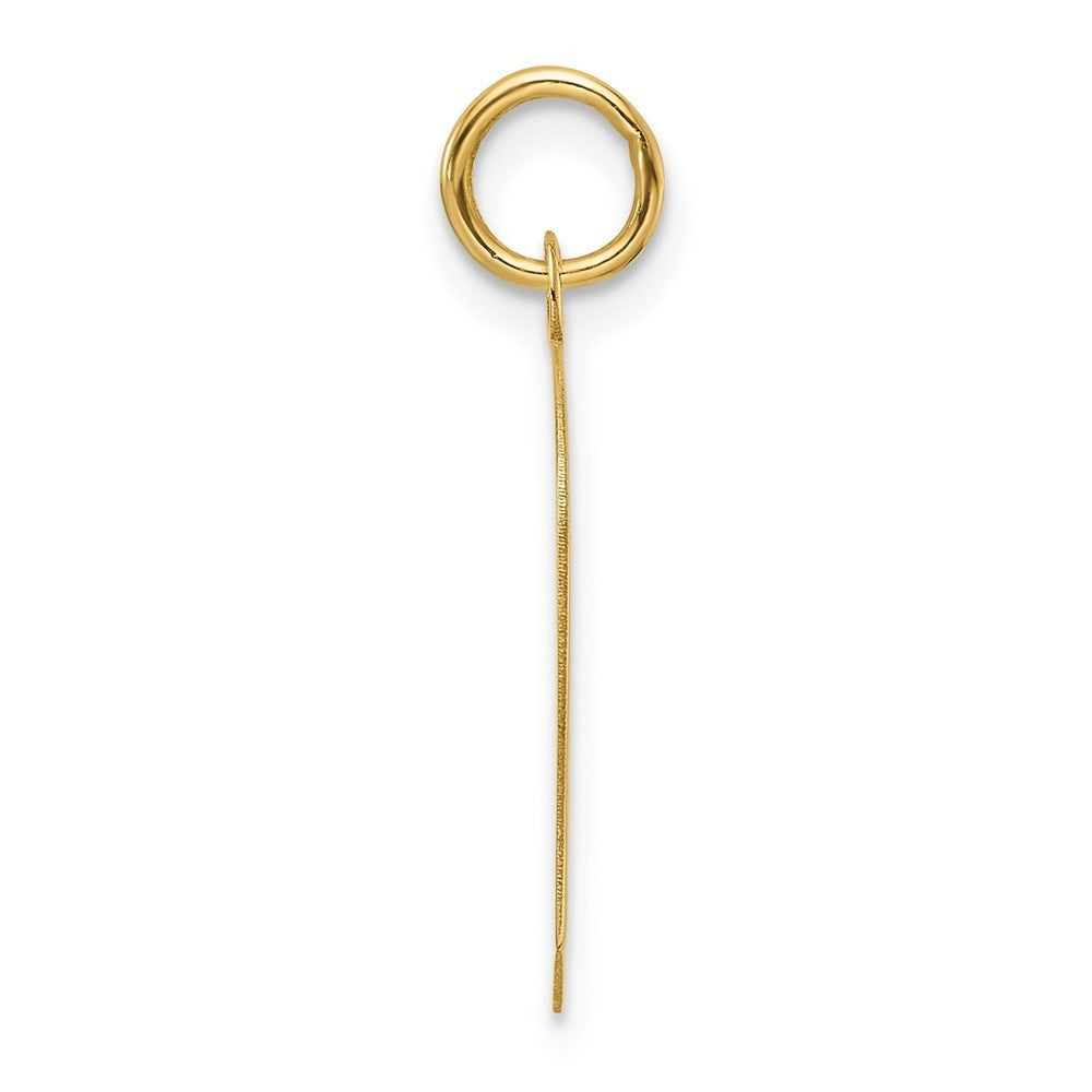 14k Yellow Gold Plain Medium .013 Gauge Facing Left Boy Head Charm Pendant