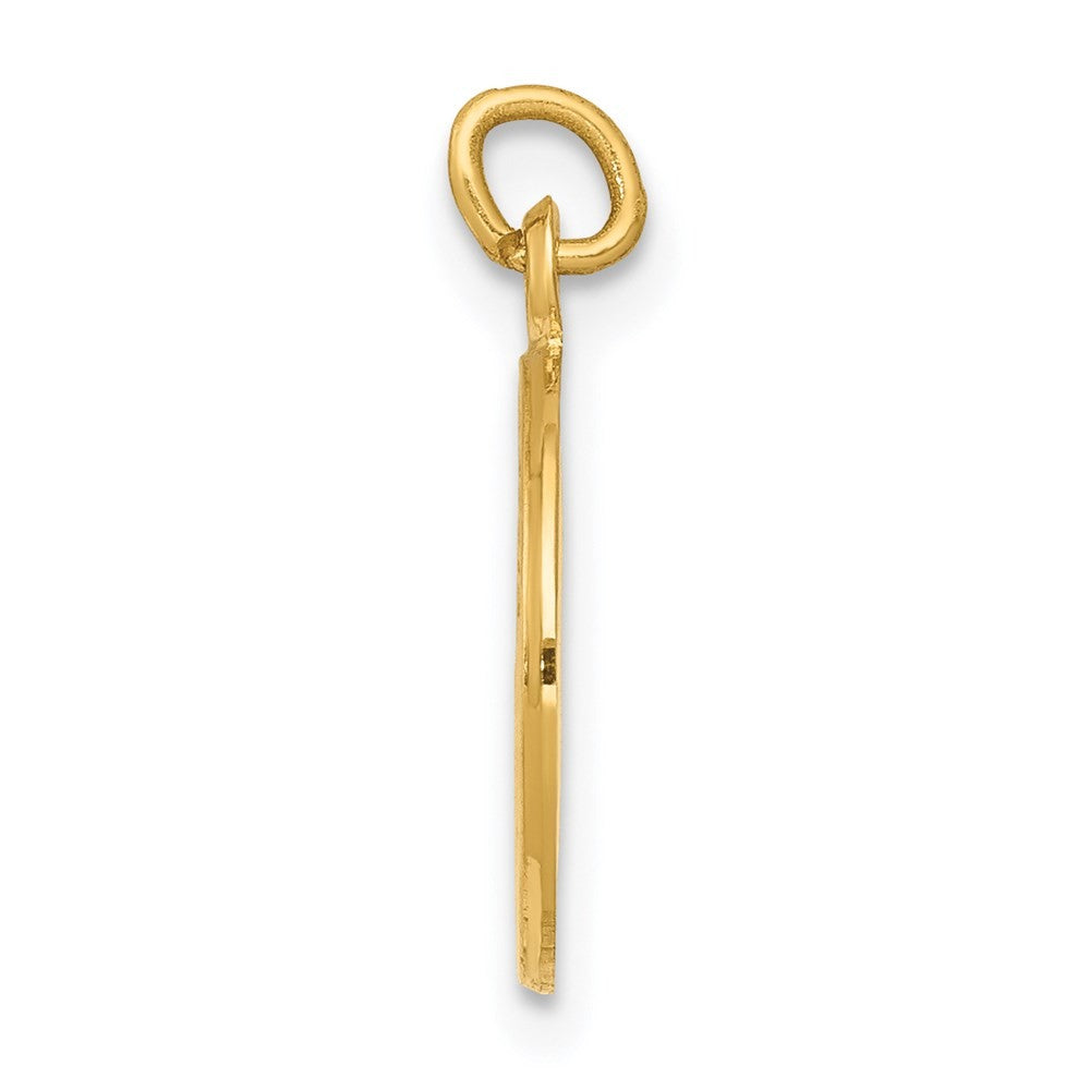 14k Yellow Gold First Communion Medal Charm Pendant
