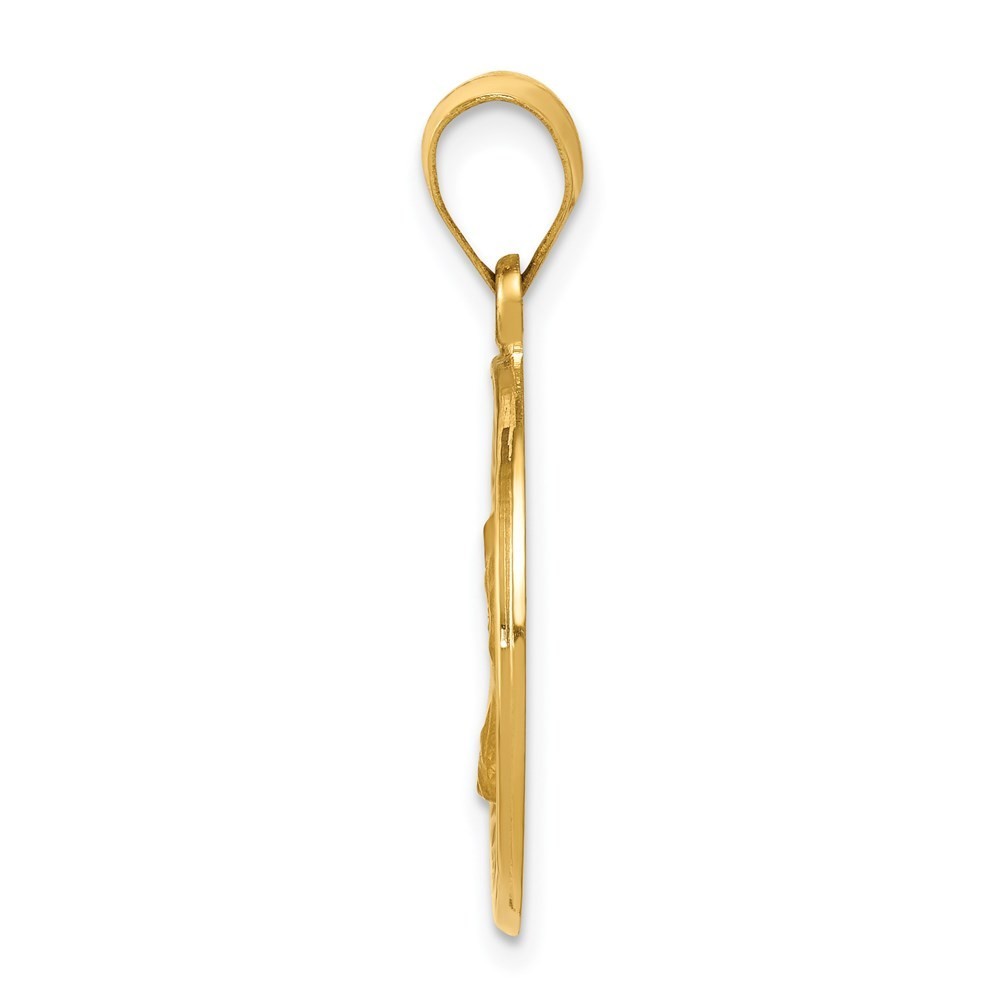 14k Yellow Gold Polished and Satin St. Charles Medal Hollow Pendant