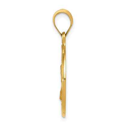 14k Yellow Gold Polished and Satin St. Charles Medal Hollow Pendant