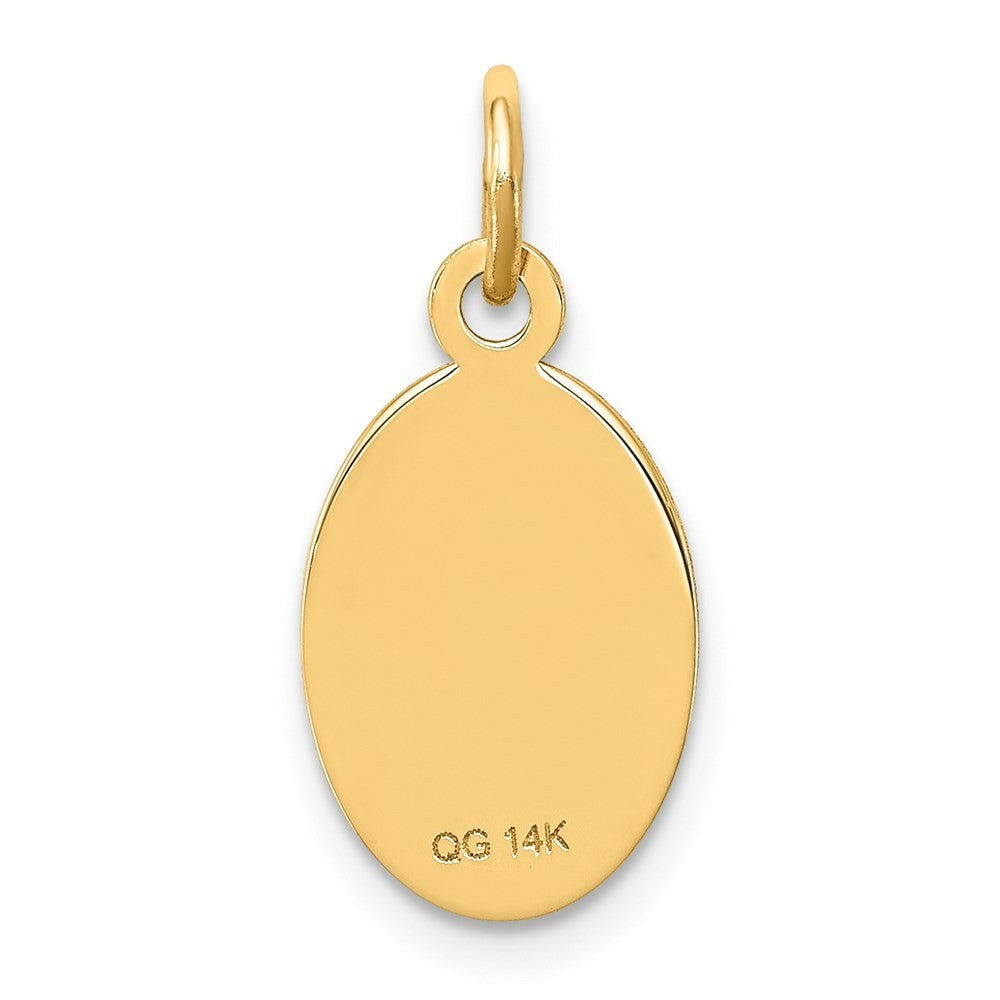 14k Yellow Gold Non-enameled Medical Jewelry Pendant
