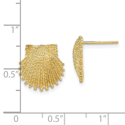 14k Yellow Gold Beaded Scallop Shell Stud Earrings