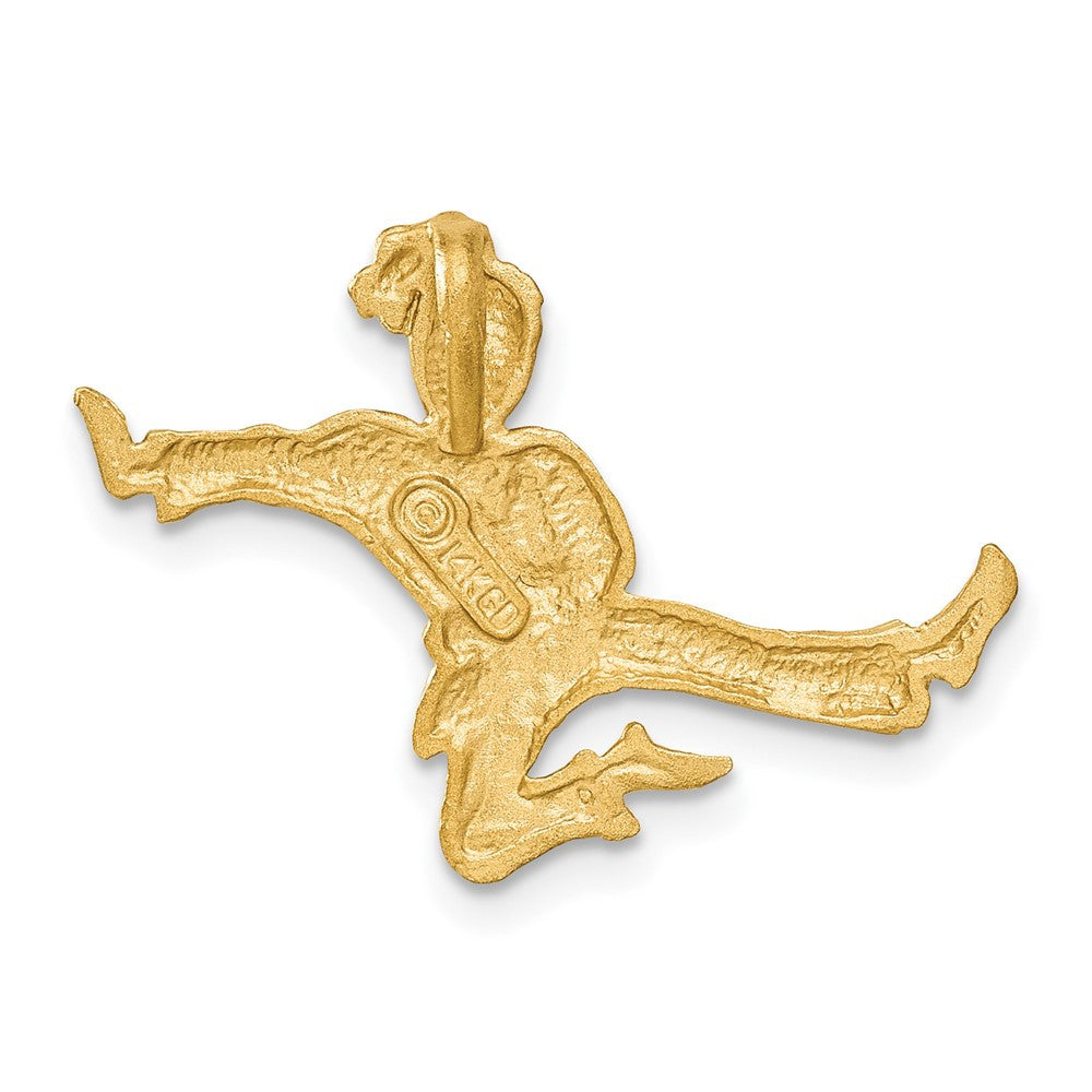 14k Yellow Gold Diamond-cut Open-Backed Karate Female Chain Slide  Pendant