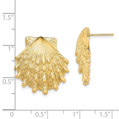 14k Yellow Gold Lion's Paw Shell Stud Earrings