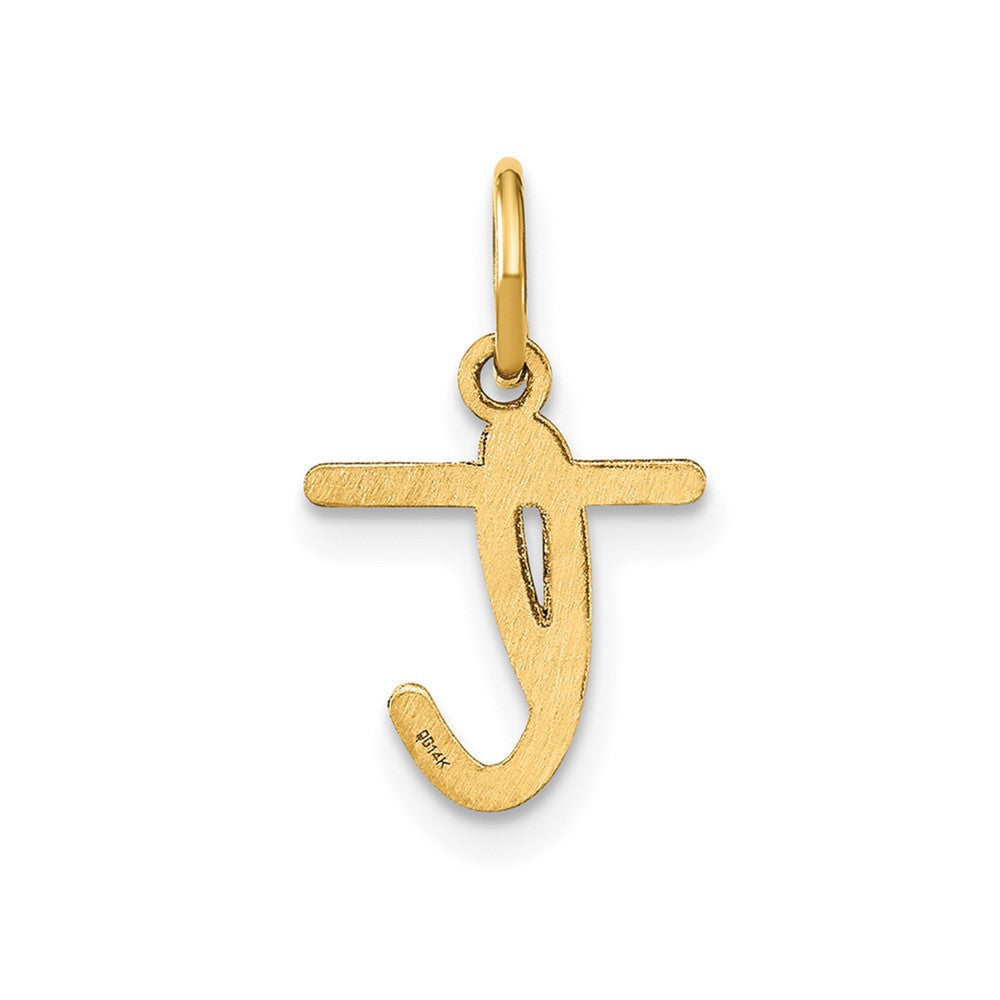 14k Yellow Gold Lower case Letter T Initial Charm Pendant