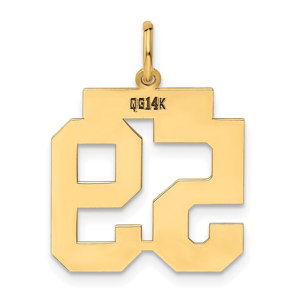 14k Yellow Gold Medium Polished Number 59 Charm Pendant