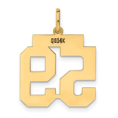 14k Yellow Gold Medium Polished Number 59 Charm Pendant