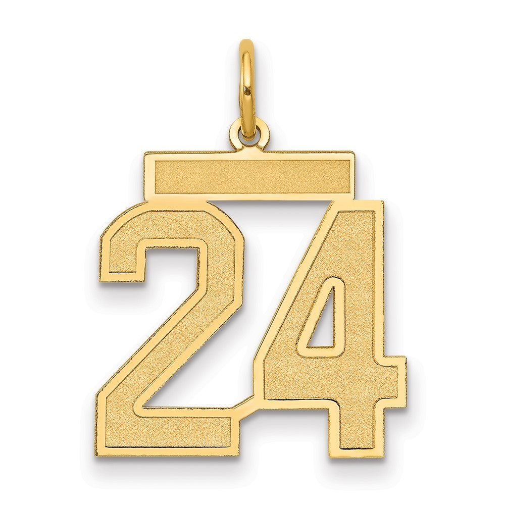 14k Yellow Gold Medium Satin Number 24 Charm Pendant