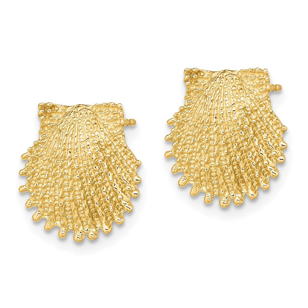 14k Yellow Gold Beaded Scallop Shell Stud Earrings