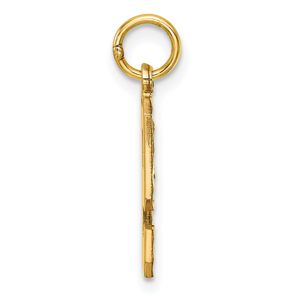 14k Yellow Gold Medium Diamond-cut Number 9 Charm Pendant