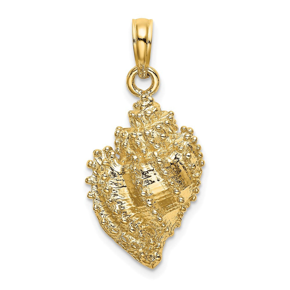 14k Yellow Gold Textured Conch Shell Charm Pendant