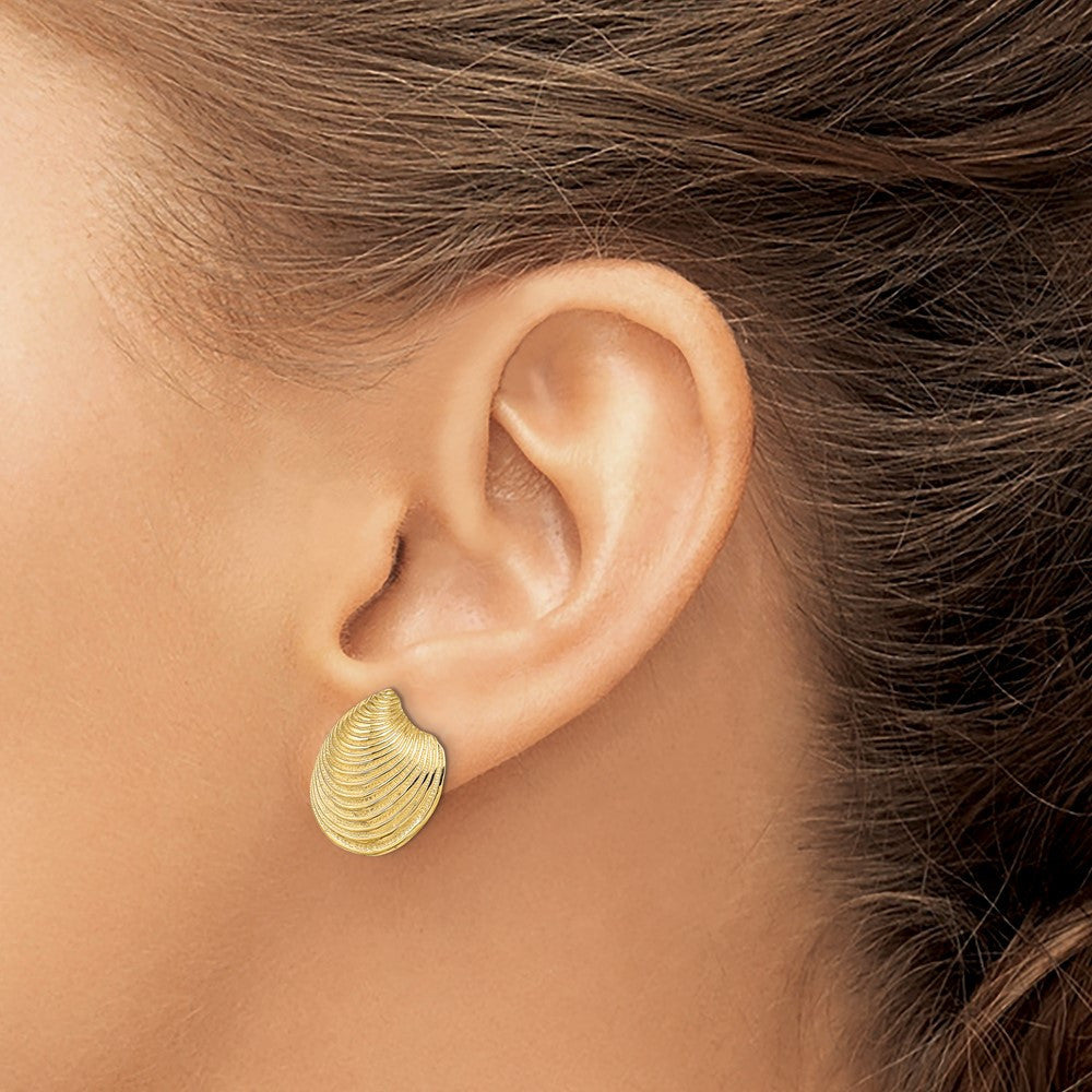 14k Yellow Gold 2-D Textured and Polished Clam Shell Stud Earrings