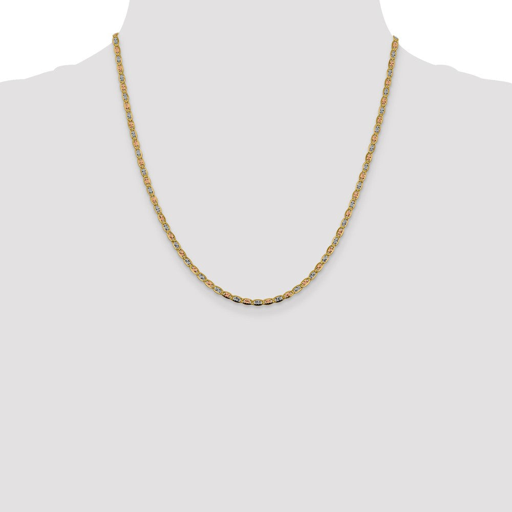 14k Tri-color Gold 2.75mm Valentino with Lobster Clasp Chain Necklace 20"