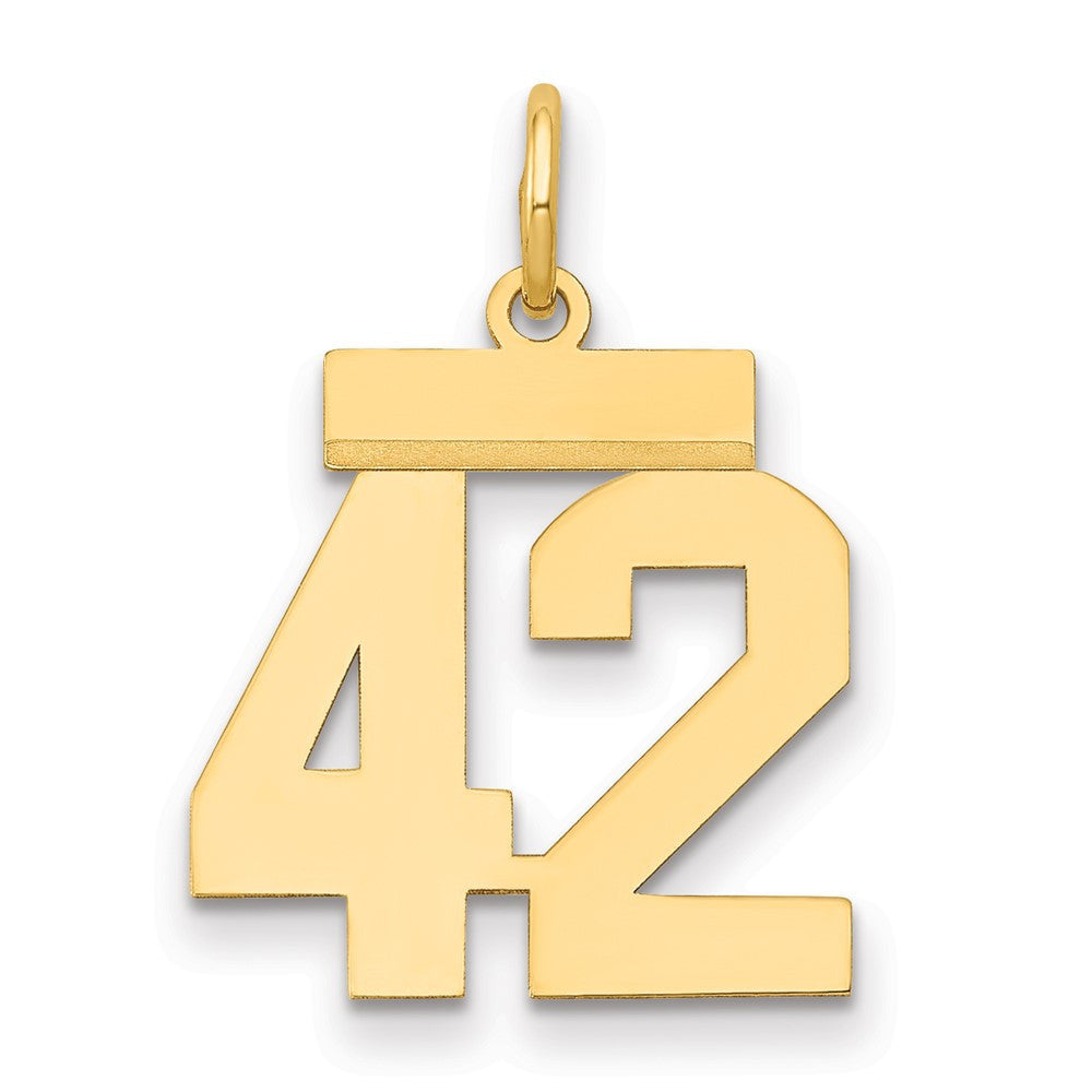 14k Yellow Gold Small Polished Number 42 Charm Pendant