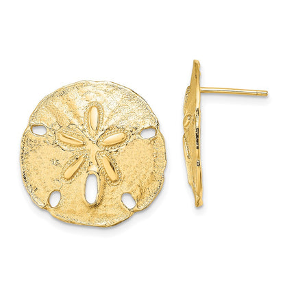 14k Yellow Gold Polished Sand Dollar Stud Earrings