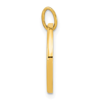 14k Yellow Gold Polished Mother of Pearl Earth Pendant