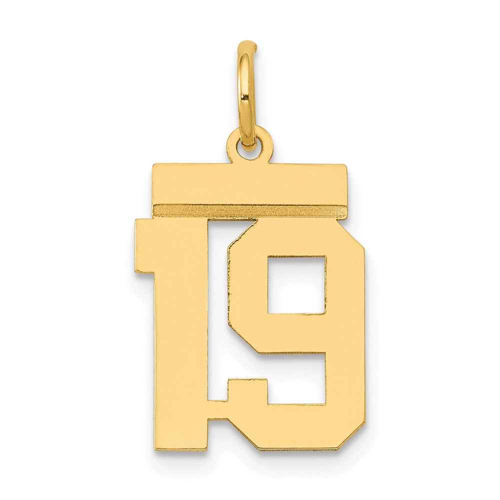 14k Yellow Gold Small Polished Number 19 Charm Pendant