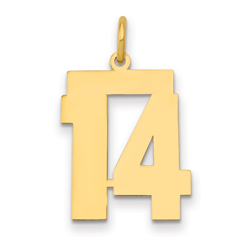 14k Yellow Gold Medium Polished Number 14 Charm Pendant