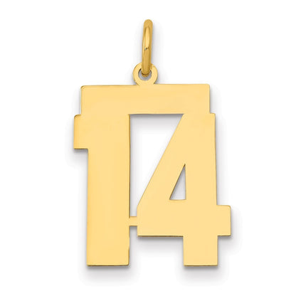 14k Yellow Gold Medium Polished Number 14 Charm Pendant
