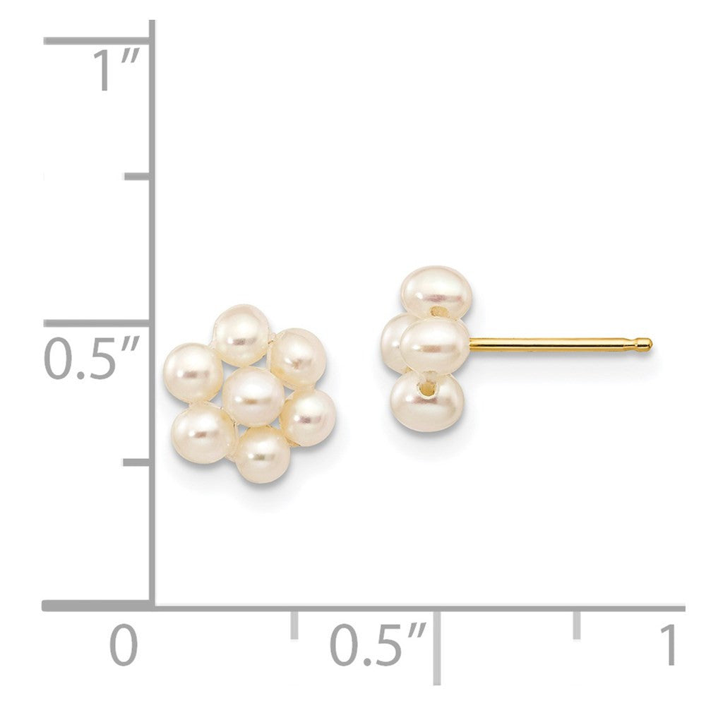 14k Yellow Gold 2-3mm White Egg Freshwater Cultured Pearl Flower Stud Earrings