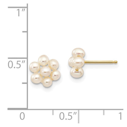 14k Yellow Gold 2-3mm White Egg Freshwater Cultured Pearl Flower Stud Earrings