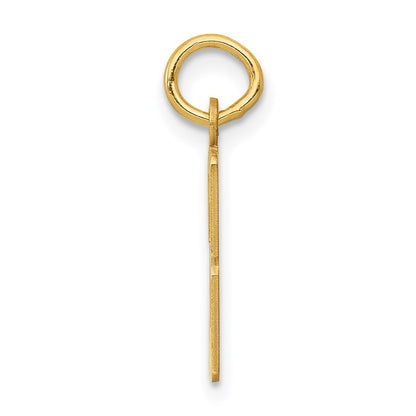 14k Yellow Gold Small Elongated Number 53 Charm Pendant