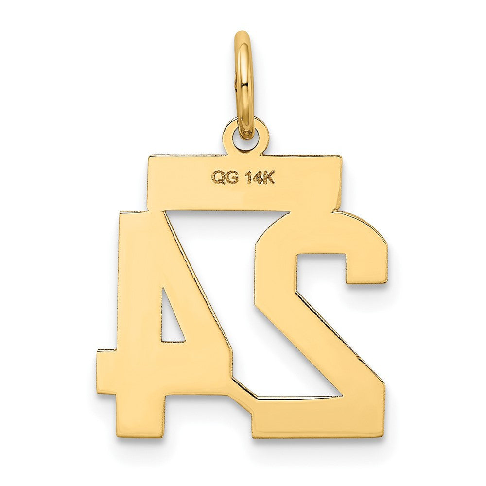 14k Yellow Gold Small Satin Number 24 Charm Pendant