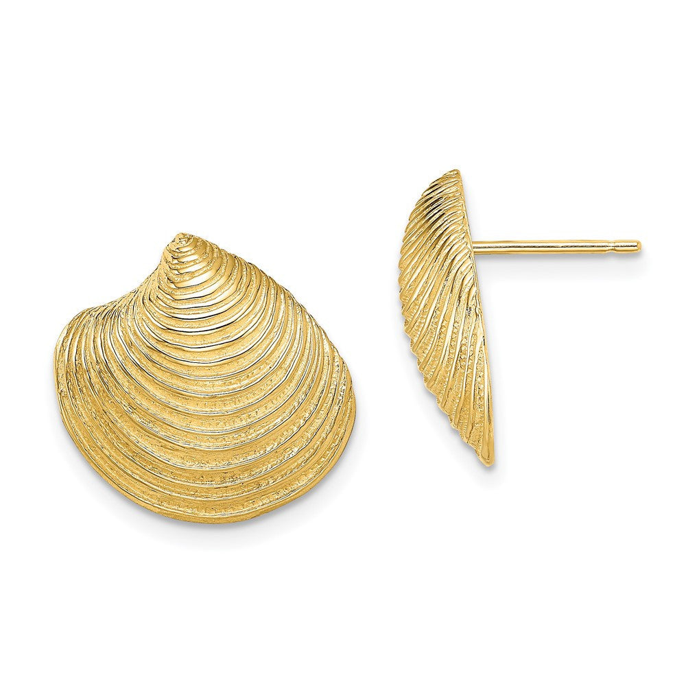 14k Yellow Gold 2-D Textured and Polished Clam Shell Stud Earrings
