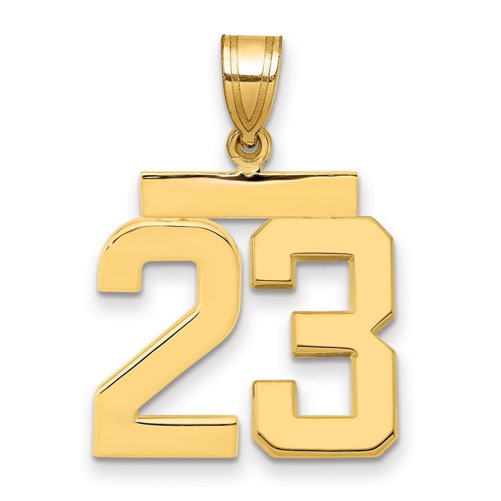 14k Yellow Gold Medium Polished Number 23 Charm Pendant