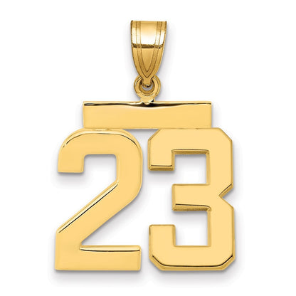 14k Yellow Gold Medium Polished Number 23 Charm Pendant