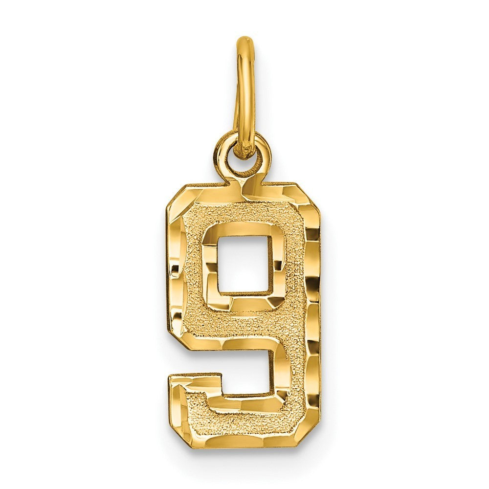 14k Yellow Gold Small Brushed Diamond-cut Number 9 Charm Pendant