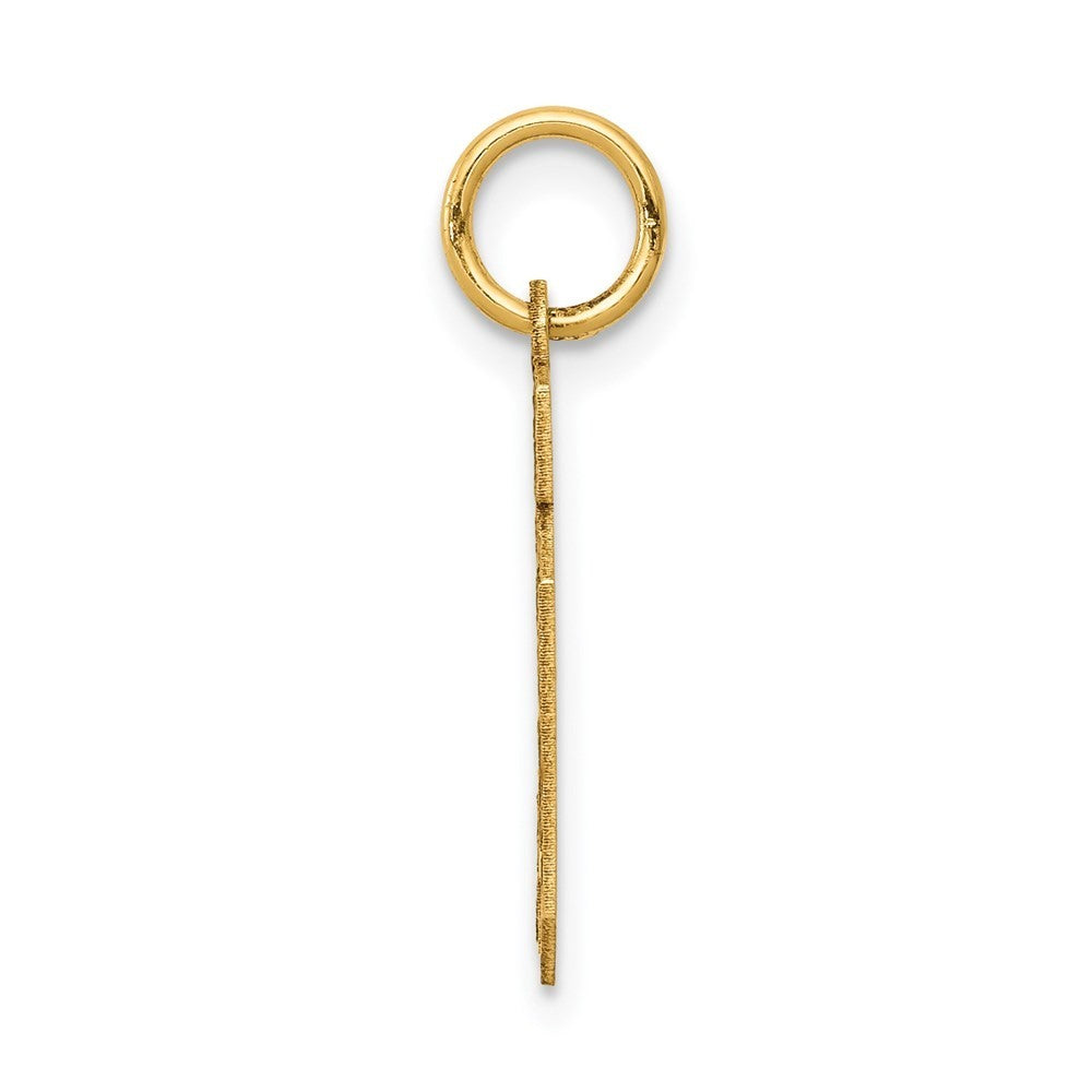 14k Yellow Gold Small Satin Number 10 Charm Pendant
