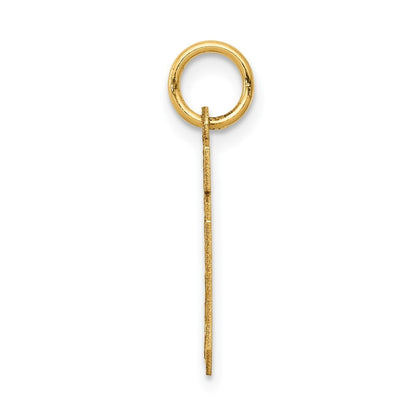 14k Yellow Gold Small Satin Number 10 Charm Pendant