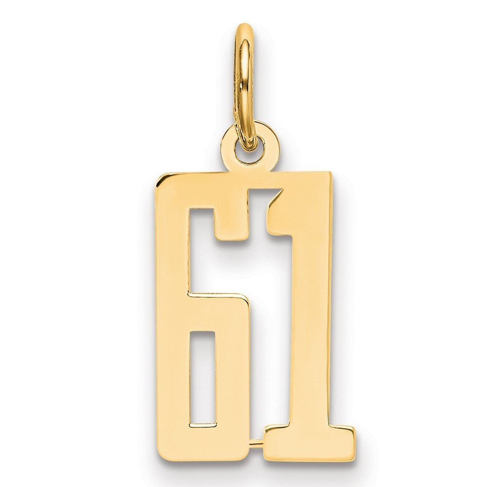 14k Yellow Gold Small Elongated Number 61 Charm Pendant