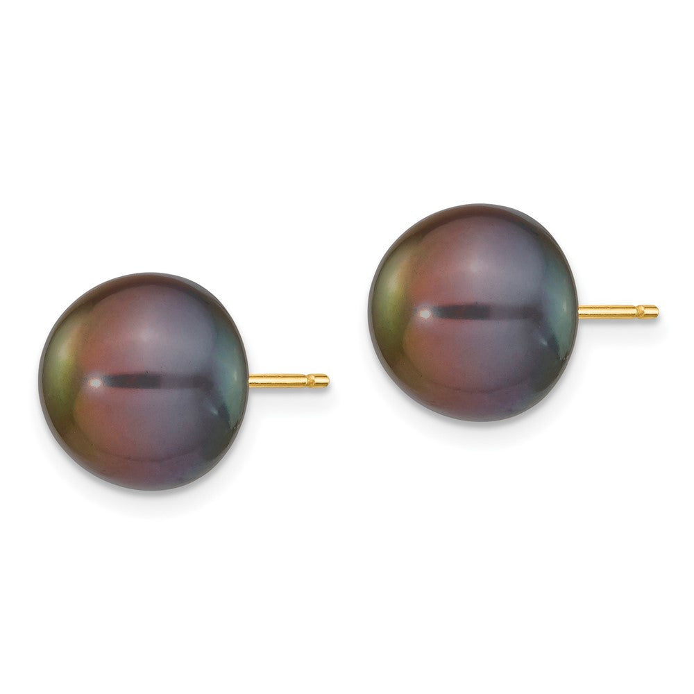 14k Yellow Gold 10-11mm Black Button Freshwater Cultured Pearl Stud Earrings