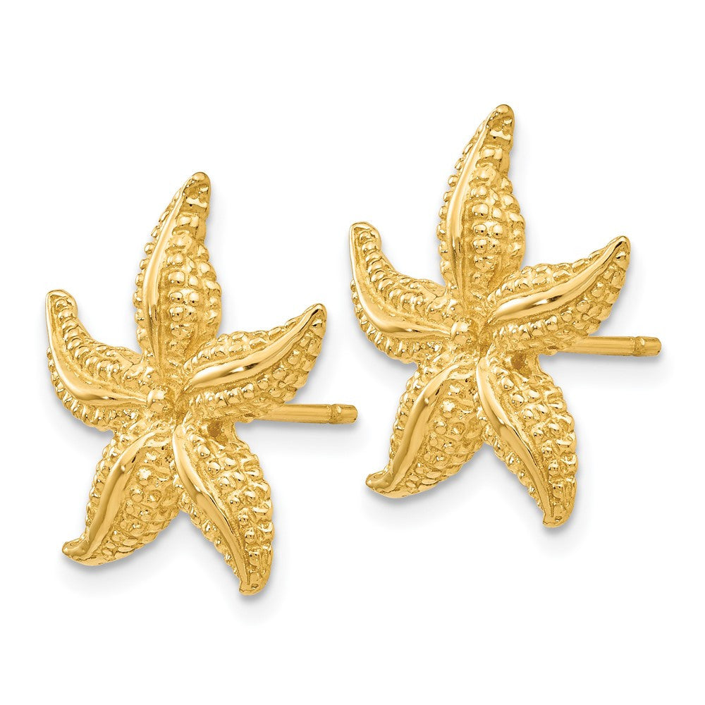 14k Yellow Gold Starfish Stud Earrings