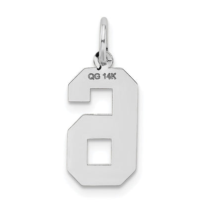 14k White Gold Medium Satin Number 6 Charm Pendant