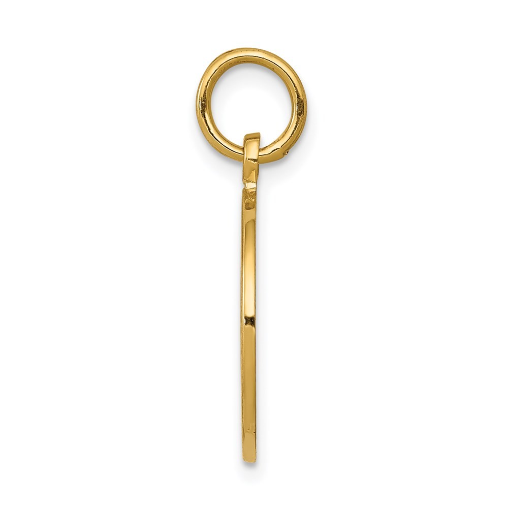 14k Yellow Gold Satin and Polished Communion Charm Pendant