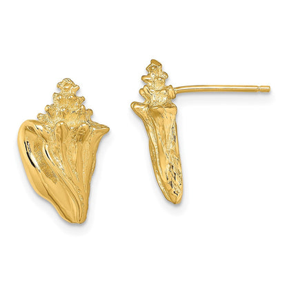 14k Yellow Gold 2-D Conch Shell Stud Earrings