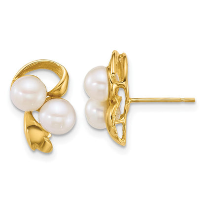14k Yellow Gold Polished 5-6mm Button Freshwater Cultured 2-Pearl Stud Earrings