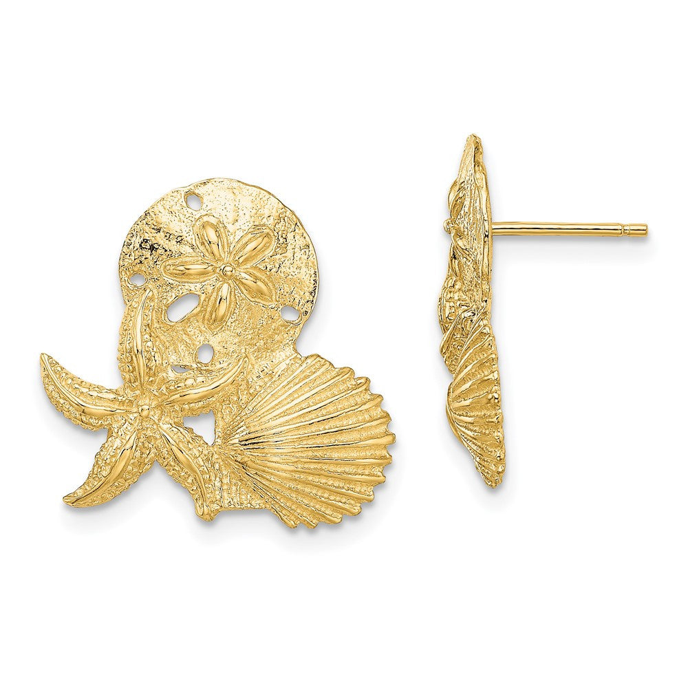 14k Yellow Gold Sand Dollar, Starfish, ,Scallop Cluster Stud Earrings