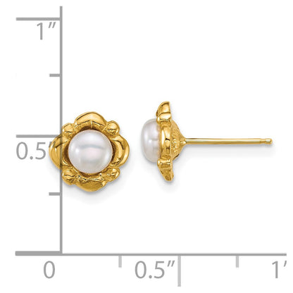 14k Yellow Gold Polished 4-5mm Button Freshwater Cultured Pearl Stud Earrings