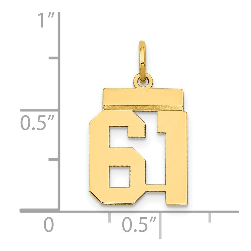 14k Yellow Gold Small Polished Number 61 Charm Pendant
