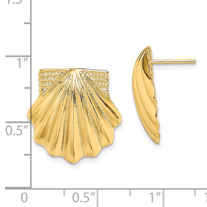 14k Yellow Gold Scallop Shell Stud Earrings