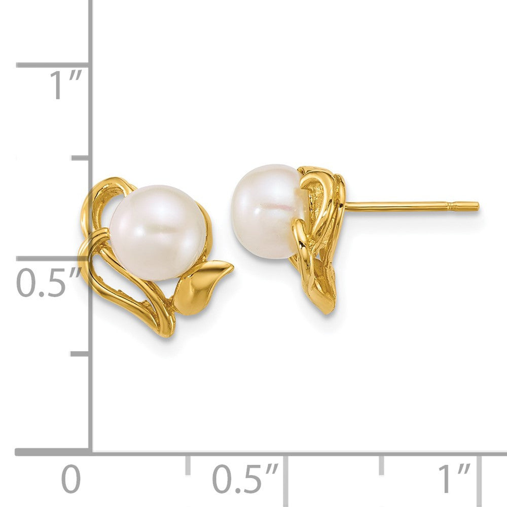 14k Yellow Gold 6-7mm Button Freshwater Cultured Pearl Flower Stud Earrings