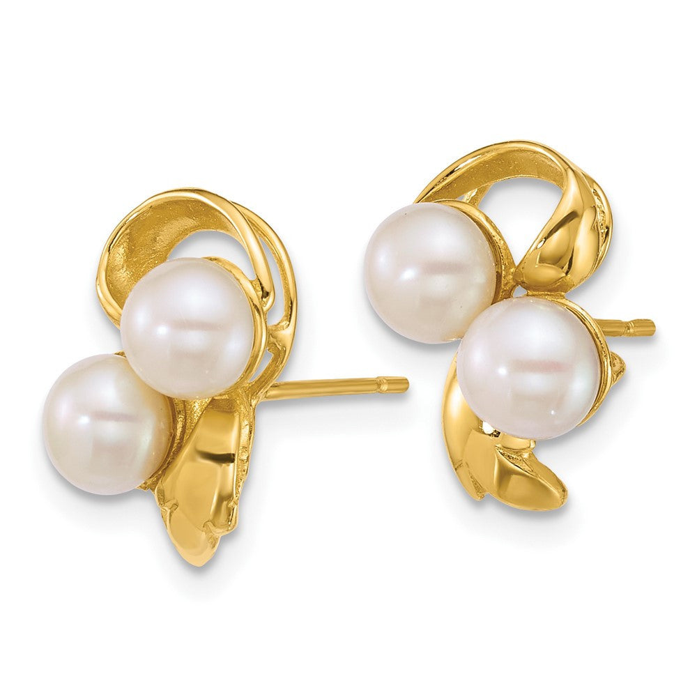 14k Yellow Gold Polished 5-6mm Button Freshwater Cultured 2-Pearl Stud Earrings