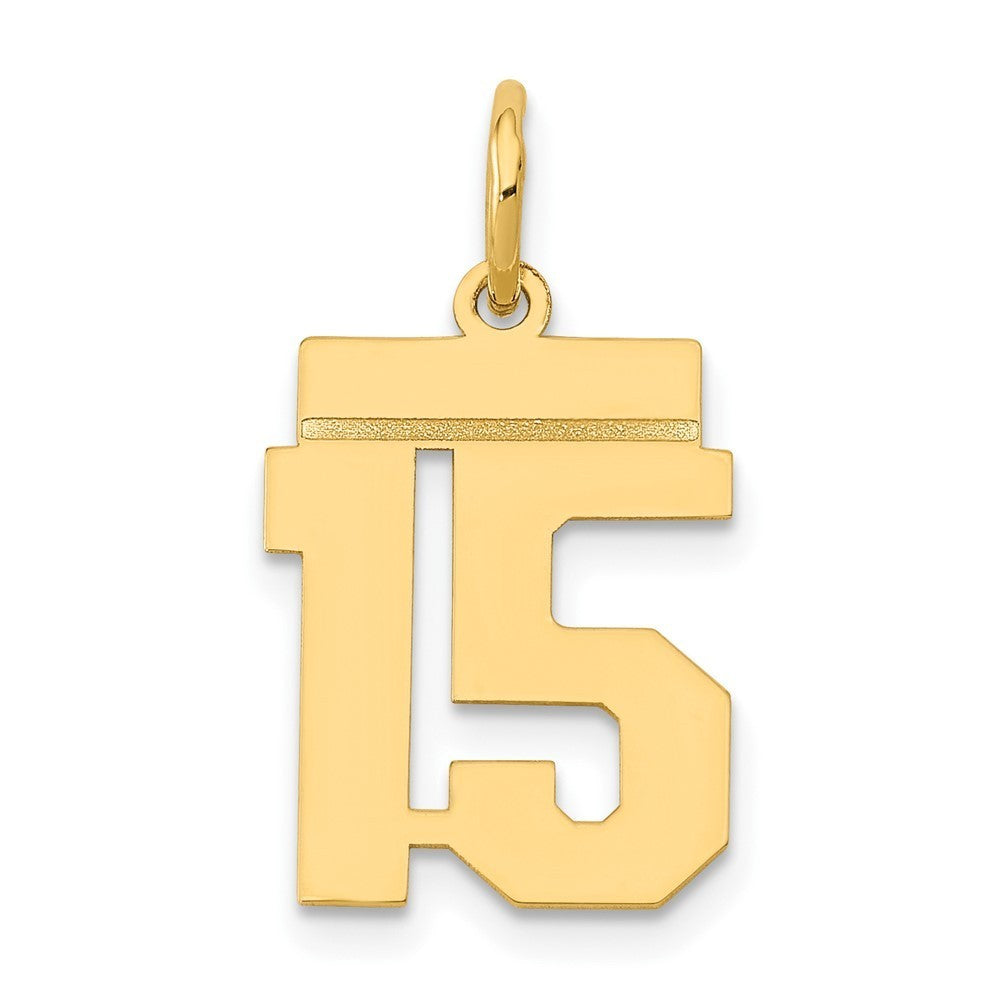 14k Yellow Gold Small Polished Number 15 Charm Pendant